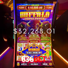 Experiência VIP 636bet
